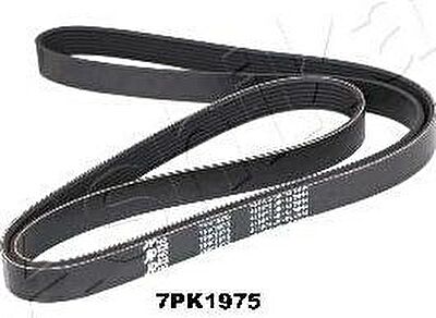 Ashika 112-7PK1975 поликлиновой ремень на NISSAN PRIMASTAR фургон (X83)