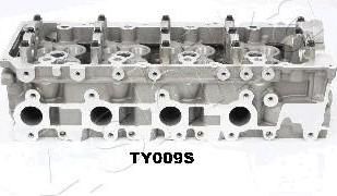 Ashika TY009S головка цилиндра на TOYOTA LAND CRUISER (LJ12_, KZJ12_, TRJ12_, KDJ12_, GRJ12_)