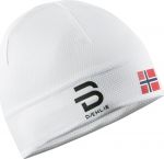 Шапка Bjorn Daehlie 2016-17 Hat MESH Snow White (US:One Size)