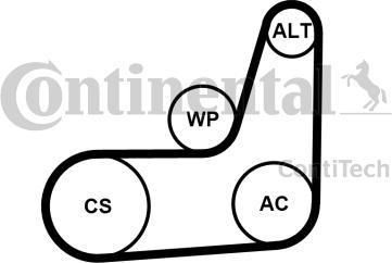 Contitech 6PK1029 ELAST T2 поликлиновой ременный комплект на FORD B-MAX (JK)