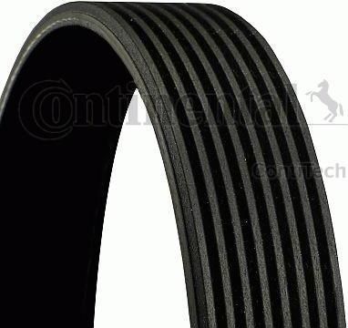 Contitech 8PK1920 поликлиновой ремень на MAN TGA Contitech 8PK1920 поликлиновой ремень на MAN TGA