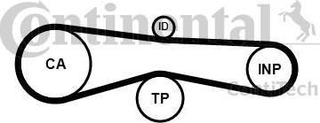 CONTITECH Ремень ГРМ AUDI A5/A6/A4 2.7-3.0 07- (059109119F, CT1131)