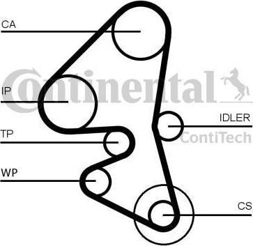 CONTITECH CT1162WP1_ремкомплект ГРМ с помпой! Ford Focus/Mo (CT1162WP1)