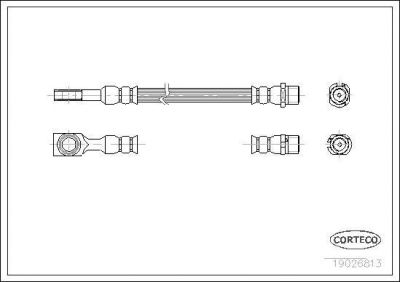 Corteco 19026813 тормозной шланг на OPEL ASTRA G универсал (F35_)