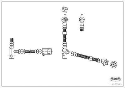Corteco 19033543 тормозной шланг на NISSAN PRIMERA (P12)