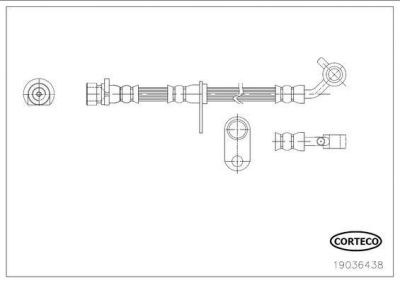 Corteco 19036438 тормозной шланг на HONDA CR-V III (RE)