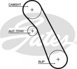 GATES Ремень ГРМ FORD 1.8 99- (91x20) (1215977, 5541XS)