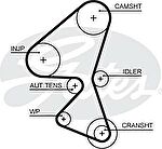 GATES Ремень ГРМ CITROEN/FORD/MAZDA/PEUGEOT/VOLVO 1.6HDi (141x25.4) (0816K1, 5656XS)