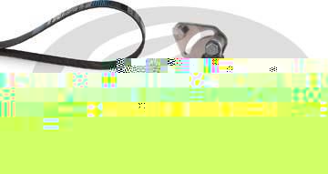 Gates K018PK880ES поликлиновой ременный комплект на MAN TGA