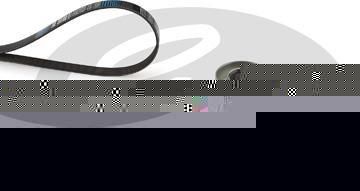 Gates K026PK1163 поликлиновой ременный комплект на PEUGEOT 406 (8B)
