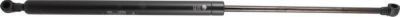 JP 1181206209 газовая пружина, крышка багажник на VW CRAFTER 30-50 фургон (2E_)
