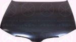 KLOKKERHOLM 1632280 капот двигателя на NISSAN ALMERA II (N16)