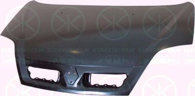 KLOKKERHOLM 6038281A1 капот двигателя на RENAULT SCЙNIC I (JA0/1_)