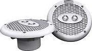 Rockford Fosgate M162C