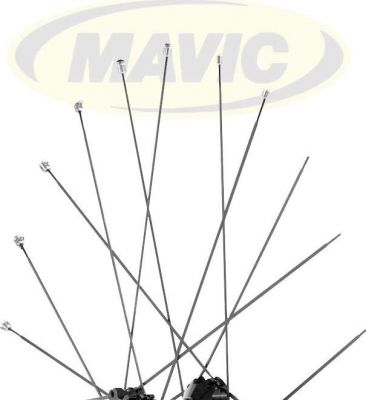 Спицы Mavic 12 Fr+Ndr Grey Spk Crossmax SX 266 mm