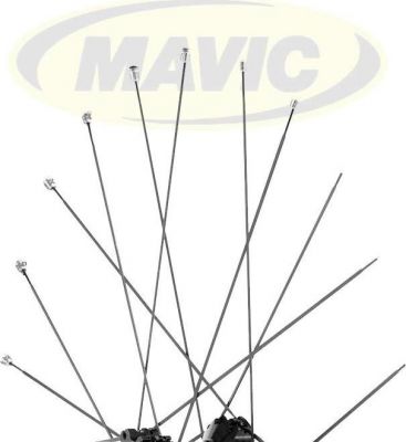 Спицы Mavic Kit 8 frt Spk Cosmic Carb Sl 09 289mm 99684101