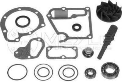 MEYLE Ремкомплект, водяной насос (034 020 0036)