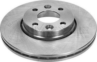 Meyle 16-15 521 0039 тормозной диск на RENAULT MEGANE II седан (LM0/1_)