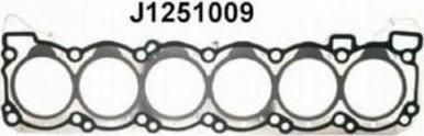 NIPParts J1251009 прокладка, головка цилиндра на NISSAN PATROL GR V Wagon (Y61)