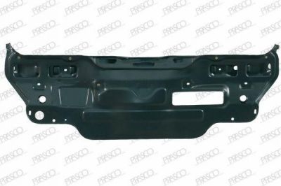Prasco FT0193250 задняя стенка на FIAT SEICENTO / 600 (187)