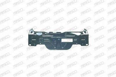 Prasco FT1323250 задняя стенка на FIAT PUNTO (176)