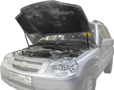 RIVAL RIVAL A.ST.1004.1 Амортизаторы капота RIVAL (2 шт.) Chevrolet Niva 2002- (A.ST.1004.1)