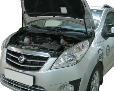 RIVAL RIVAL A.ST.1301.1 Амортизаторы капота RIVAL (2 шт.) Ravon R2 2016- (A.ST.1301.1)