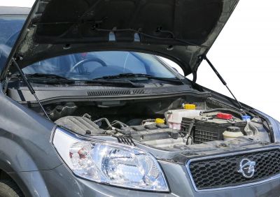 RIVAL RIVAL A.ST.1302.1 Амортизаторы капота RIVAL (2 шт.) Ravon R3 (2016-) (A.ST.1302.1)