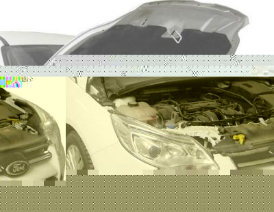 RIVAL RIVAL A.ST.1801.1 Амортизаторы капота RIVAL (2 шт.) Ford Focus III 2011- (A.ST.1801.1)