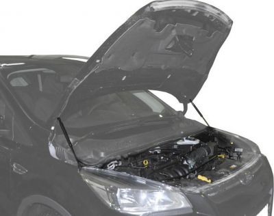 RIVAL RIVAL A.ST.1803.1 Амортизаторы капота RIVAL (2 шт.) Ford Kuga 2013-2016 (A.ST.1803.1)