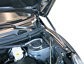 RIVAL RIVAL A.ST.3301.1 Амортизаторы капота RIVAL (2 шт.) Lifan X60 2012- (A.ST.3301.1) RIVAL RIVAL A.ST.3301.1 Амортизаторы капота RIVAL (2 шт.) Lifan X60 2012- (A.ST.3301.1)
