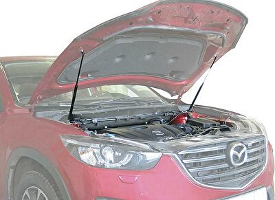 RIVAL RIVAL A.ST.3803.1 Амортизаторы капота RIVAL (2 шт.) Mazda CX-5 (2011-2016) (A.ST.3803.1)