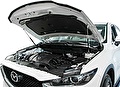 RIVAL RIVAL A.ST.3804.1 Амортизаторы капота RIVAL (2 шт.) Mazda CX-5 (2011-2016; 2017- ) (A.ST.3804.1) RIVAL RIVAL A.ST.3804.1 Амортизаторы капота RIVAL (2 шт.) Mazda CX-5 (2011-2016; 2017- ) (A.ST.3804.1)