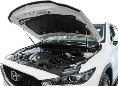 RIVAL RIVAL A.ST.3804.1 Амортизаторы капота RIVAL (2 шт.) Mazda CX-5 (2011-2016; 2017- ) (A.ST.3804.1)