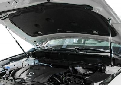 RIVAL RIVAL A.ST.3804.1 Амортизаторы капота RIVAL (2 шт.) Mazda CX-5 (2011-2016; 2017- ) (A.ST.3804.1)