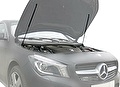 RIVAL RIVAL A.ST.3902.1 Амортизаторы капота Mercedes-Benz CLA (2013-) (A.ST.3902.1) RIVAL RIVAL A.ST.3902.1 Амортизаторы капота Mercedes-Benz CLA (2013-) (A.ST.3902.1)