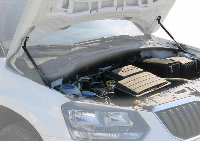 RIVAL RIVAL A.ST.5103.1 Амортизаторы капота RIVAL (2 шт.) Skoda Yeti 2014- (A.ST.5103.1)