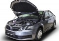 RIVAL RIVAL A.ST.5105.1 Амортизаторы капота RIVAL (2 шт.) Skoda Octavia A7 2013- (A.ST.5105.1)