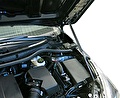 RIVAL RIVAL A.ST.5701.1 Амортизаторы капота RIVAL (2 шт.) TOYOTA Corolla (2013-) (A.ST.5701.1) RIVAL RIVAL A.ST.5701.1 Амортизаторы капота RIVAL (2 шт.) TOYOTA Corolla (2013-) (A.ST.5701.1)