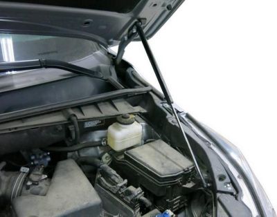 RIVAL RIVAL A.ST.5702.1 Амортизаторы капота TOYOTA Highlander (2014-) (A.ST.5702.1)