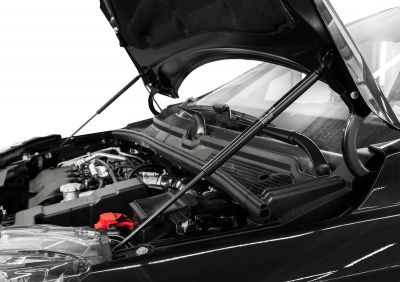 RIVAL RIVAL A.ST.6008.1 Амортизаторы капота RIVAL (2 шт.) Lada X-Ray 2016- (A.ST.6008.1)