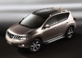 RIVAL RIVAL D173AL.4108.2 Порог-площадка RIVAL RIVAL D173AL.4108.2 Порог-площадка