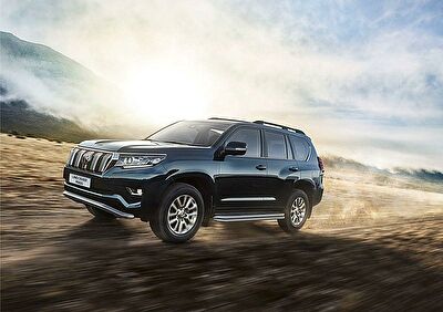 RIVAL RIVAL R.5704.016 Защита штатного порога d42 + комплект крепежа, RIVAL, Toyota Land Cruiser Prado 2009-2013-2017- (R.5704.016)