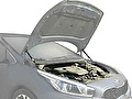 RIVAL (Автоупор) Амортизаторы капота Kia Ceed II (UKICEE012) RIVAL (Автоупор) Амортизаторы капота Kia Ceed II (UKICEE012)