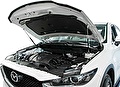 RIVAL RIVAL UMACX5021 Амортизаторы капота АвтоУПОР (2 шт.) Mazda CX-5 (2011-2016; 2017- ) (UMACX5021) RIVAL RIVAL UMACX5021 Амортизаторы капота АвтоУПОР (2 шт.) Mazda CX-5 (2011-2016; 2017- ) (UMACX5021)
