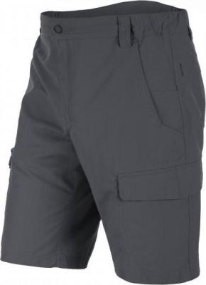 Шорты для активного отдыха Salewa 2016 FANES SEURA 2 DRY M SHORTS magnet (EUR:50/L)