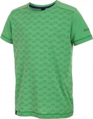 Футболка для активного отдыха Salewa 2016 PUEZ DRY K S/S TEE assenzio/5980 (EUR:152)