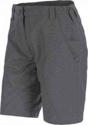 Шорты для активного отдыха Salewa 2016 FANES SEURA 2 DRY W SHORTS magnet (EUR:40/34)