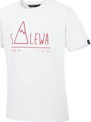 Футболка для активного отдыха Salewa 2017 FREA PEAK DRY K S/S TEE white (Рост:104)