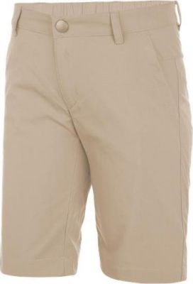 Шорты для активного отдыха Salewa 2017 FANES DRY K SHORTS pale khaki (Рост:140)